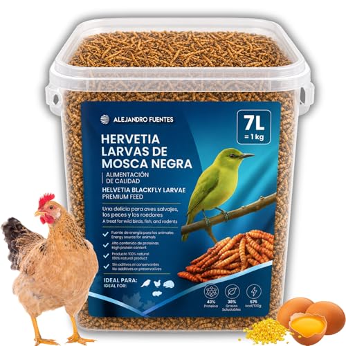 AF® Larvas de Mosca Negra Deshidratadas 1kg, 7L Alternativa Gusanos de la Harina Tenebrios 43% Proteína, Snack Natural para Pájaros, Erizos y Reptiles, Más Energía 575kcal/100g con Zip