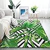 Alaza Sommer Exotic Jungle Tropische Palme Blätter, ein Wohnzimmer Teppich Teppiche Vorleger für Schlafzimmer fein 7’x5′ mehrfarbig