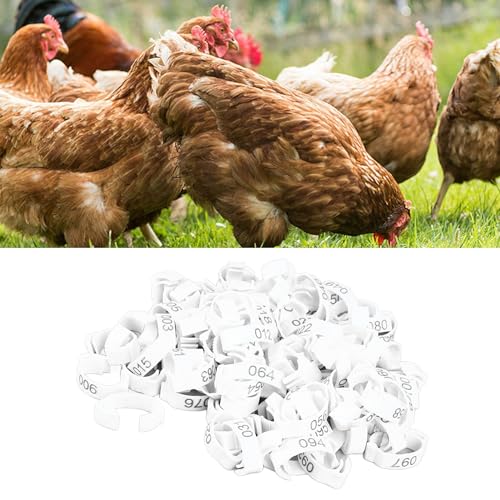 Faixas de Perna de Aves, 100 Unidades Com Clipe Em Anéis de Perna de Frango para Reprodução (100 uni