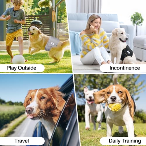 Waschbare Hundediaper für m. Hunde (3er Pack, Größe S). Premium, stark saugfähige Bauchbinden – geeignet für Inkontinenz, aufgeregtes Harnen & Training.