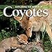 Exploring the World of Coyotes