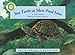 Box Turtle at Silver Pond Lane (Smithsonian's Backyard)