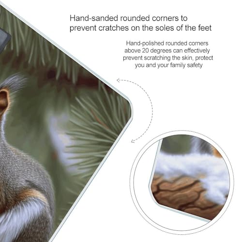 Báscula Digital Little Squirrel Peso Corporal Precisa miniatura 4