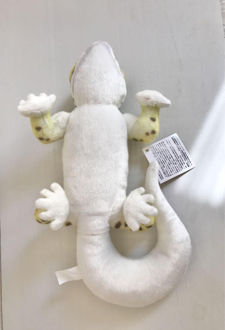 Amazon.co.jp: ヒョウモントカゲモドキ レオパードゲッコー