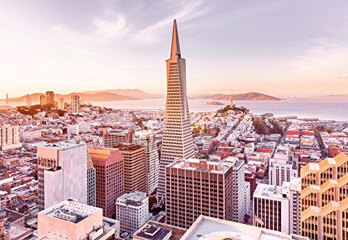 San Francisco Morning Wall Mural, Colourful, 254L x 368W cm - Image 2