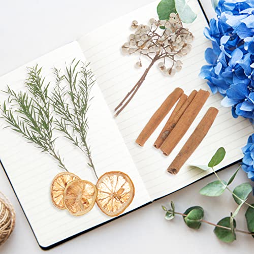 Material de flores secas para manualidades y decoración miniatura 6