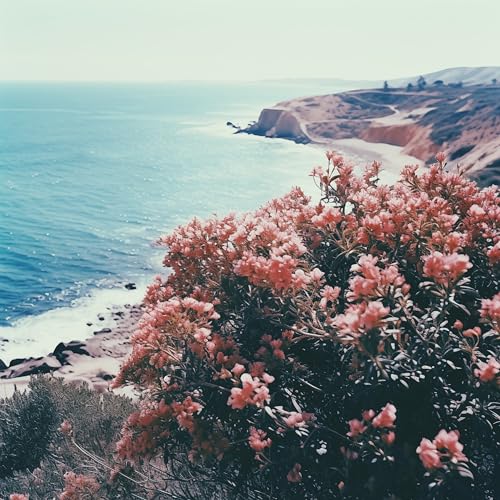 Utah, Red Licorice & Young Collective