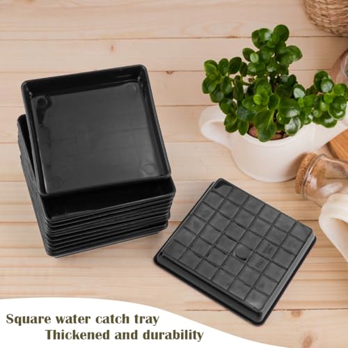 LNQ LUNIQI Square Plant Pot Coasters, Pack of 12 Plastic Plant Saucers, Black Plant Saucers, Flower Coasters - Image 3