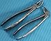 Set of 2 German Grade Dental Surgery Tooth EXTRACTING Extraction Forceps MD2 MD3