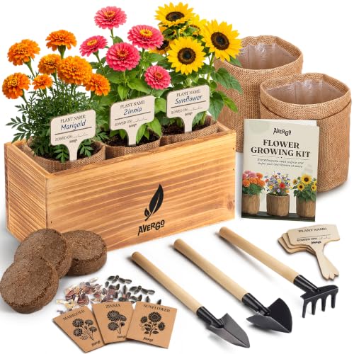AVERGO Sunflower, Marigold & Zinnia Flower Seeds Growing Kit