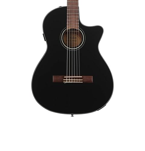 Amazon.com: Fender CN-140SCE Thinline Concert Nylon String