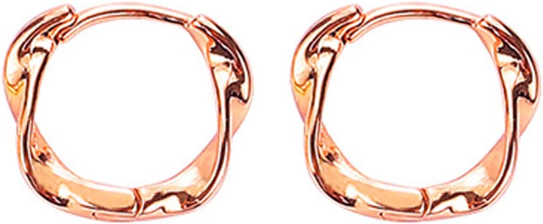 Hoop Earrings for Teen Girls Minimalist Piercing Studs Trendy Earrings Earrings Set Earrings