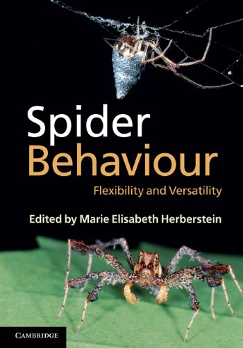 Spider Behaviour: Flexibility and Versatility