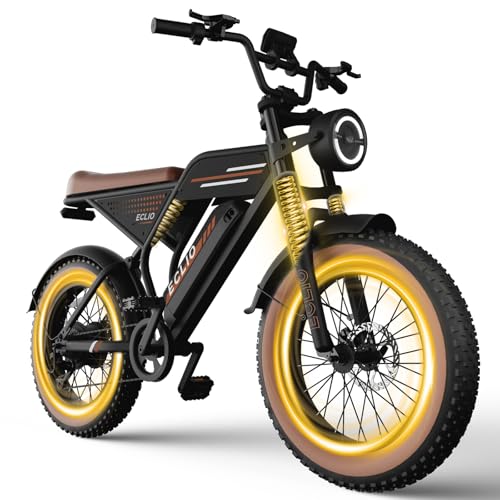DDC TECH Electric Bike for Adults 1000W Peak Motor 20MPH
