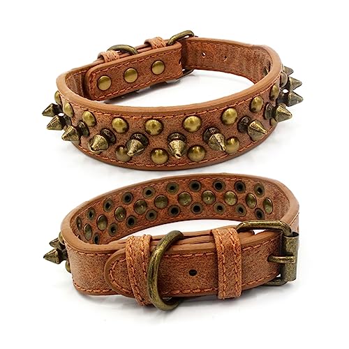 Collier pour chien rivet en cuir marron résistant pour l'extérieur