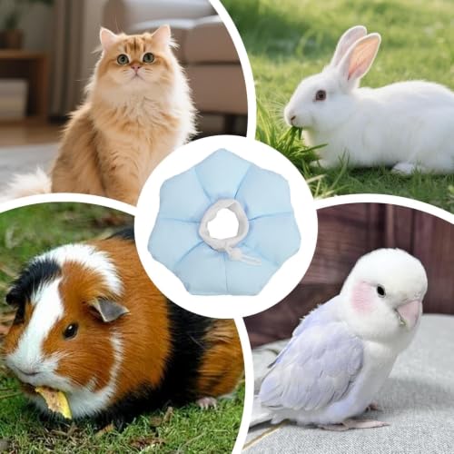 Collares calmantes para gatos y cono de recuperación impermeable para mascotas 5