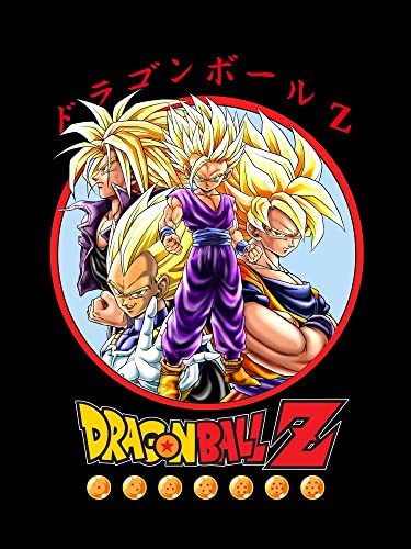 Image of Dragon Ball Z Anime Characters Group Shot Mens Black Graphic Tee Shirt -L
