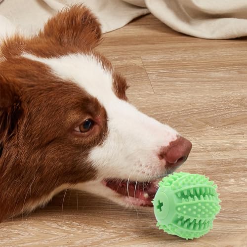 Bola dispensadora de guloseimas para cachorro, brinquedo para cheirar cachorro, Brinquedos engraçado