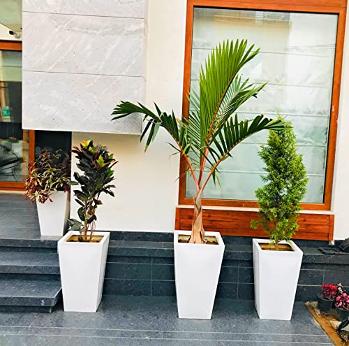 S E Fibereum Standard White Colour Frp Flower Pot 24 X 14 Inches. Home Decoration Flower Pot, Outdoor And Indoor, Balcony Gardening, Pots With Optional Drainage Hole (Free Pebbles) Super