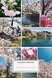 Composition Notebook: Beautiful Sakura Cherry Blossoms Park Pond Garden Sprin for School & College for Writing and Notes