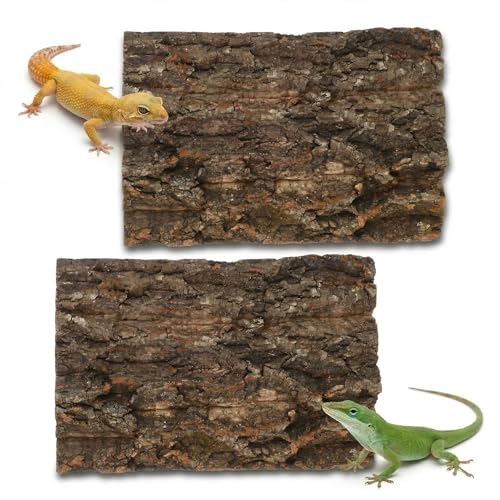 DOITOOL 2 PCS Natural Cork Bark Background, 11.8" x 7.9" Reptile Tree Bark Reptile Hides for Tank Backdrop Climbing Wall Terrarium Decor Accessories for Bearded Dragon Lizard Geckos Tortoise