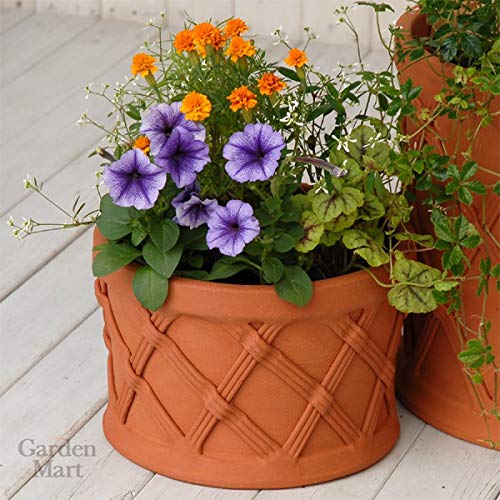 植木鉢 テラコッタ製プランター Basket バスケット Yorkshire Flowerpots