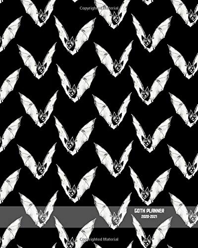 Goth Planner 2020-2021: Daily, Weekly and Monthly Planner | Goth 2020-2021 Planner | Calendar and Organizer | 2020 – 2021 Two Year Planner | Gothic ... 8