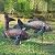 Set of 2 Garden Koi Fish Statue Sculpture Antique Copper Fish Outdoor Décor Garden Sculptures & Statues Metal Koi Fish Ornaments for Outdoors,Patio Decor,Backyard and Home Kitchen Decorations