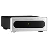 Bel Canto REF600M Monoblock Amplifier with Silver Faceplate