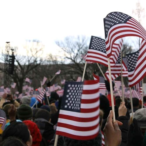 The future of American democracy Podcast Por  arte de portada