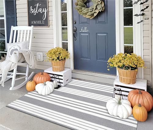 OJIA Entryway Rug 3'x5' Outdoor Rugs Front Door Mat Outside Entrance Decor