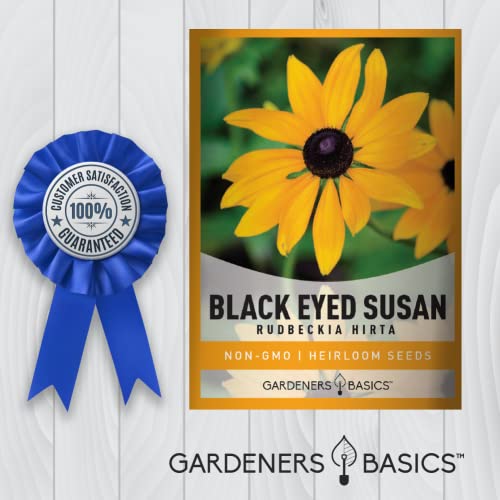 Black Eyed Susan Seeds For Planting - Rudbeckia Hirta Flower Seeds For Cut Flower Gardens Beautiful Yellow And Black Flowers To Grow In Your Garden By Gardeners Basics #TOP5