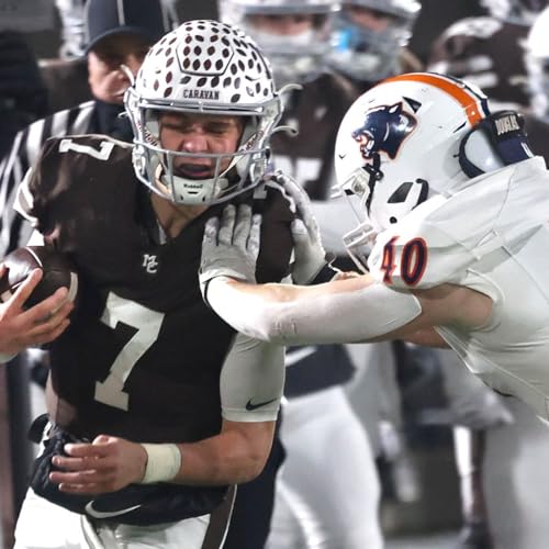 Could Illinois follow Alabama&rsquo;s lead in splitting public and private school competition?
