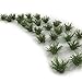 KuGuo Artificial Wild Weeds Model Plants for DÃ©cor Miniature Landscape Scenery Static Grass Tufts 100P
