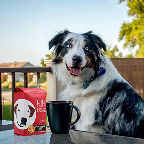 Hugo Coffee Ground Downward Dog Decaf Coffee & Ground Dog Daze Cold Brew Coffee #TOP7