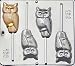 Candy Molds N More Harry Potter Owl Lollipop Chocolate Candy Mold Halloween 903