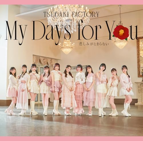 【Amazon.co.jp限定】My Days for You／悲しみがとまらない (通常盤A) (メガジャケ付)