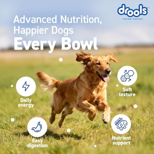 Image of Drools Adult Wet Dog Food (12 x 60g) | Real Chicken & Liver Chunks in Gravy | Supports Skin, Coat, Joint Health & Easy Digestion