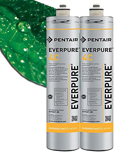 Everpure Filtro 4c - Confezione da 2