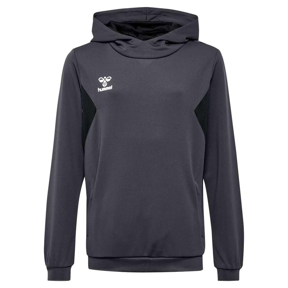 hummel hmlAUTHENTIC PL Kids Hoodie