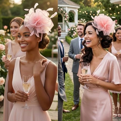 Image of DRESHOW Fascinators Hat Tea Party Headwear Ribbons Feathers on a Headband and a Clip for Women