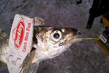 パワーベイト❗️廃盤❗️ パワーベイト❗️廃盤❗️ 株式会社DSTYLE 公式サイト