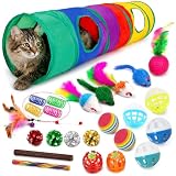 iCAGY 25 Pcs Cat Toys Set, Cat Tunnel Toy for Indoor Cats, Kittens