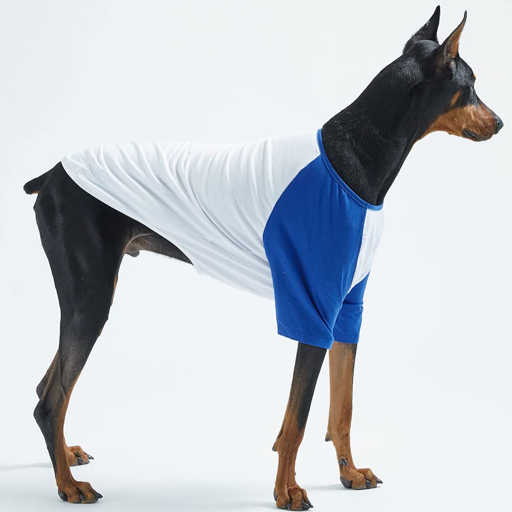 Ropa para mascotas para perro gato cachorro raglán camisetas duraderas y elásticas para perros (4XL, blanco/azul)