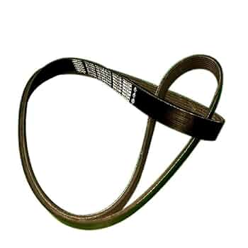 ぱんや 51nu4roRmVL._UF350,350_QL50_.jpg