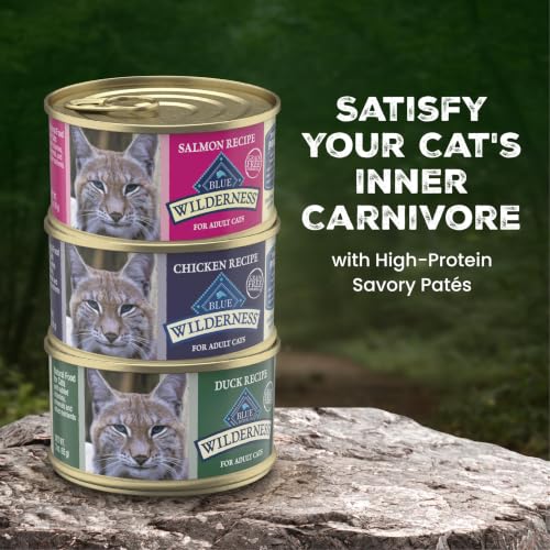Blue Buffalo Wilderness Variety Pack Adult Paté Wet Cat Food, 3 oz, 12 ct | Chicken, Salmon, and Duck Patés (4 of Each), High Protein & Grain-Free Recipes, Supports Daily Hydration