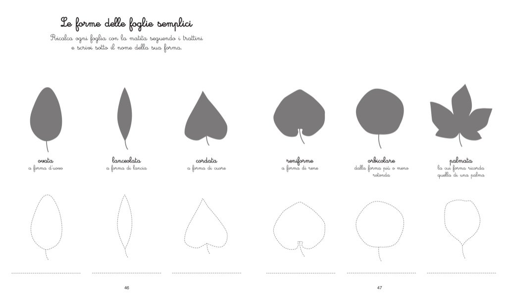 Le mie attività Montessori. Ediz. illustrata