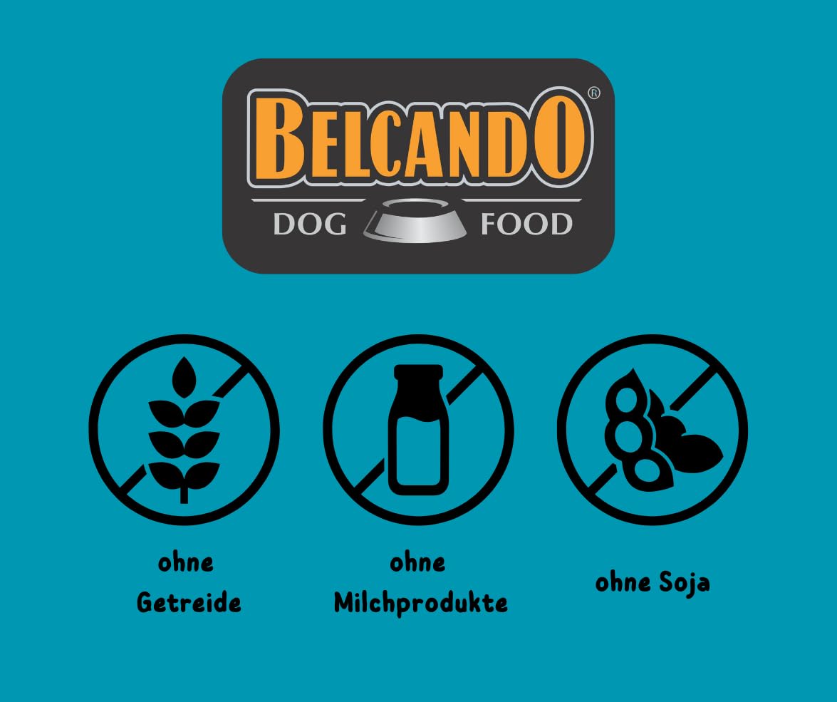 Belcando Baseline Sparpaket 2x6x800g – Nassfutter Mix für Hunde mit 6 Sorten: Forelle, Rind, Lamm, Huhn, Wild & Ente, Truthahn – Premium Hundenahrung aus Deutschland – ohne Zucker & Soja