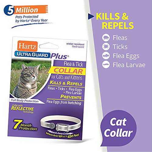 hartz ultraguard flea and tick collar for cats
