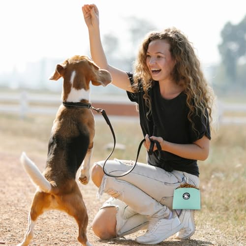 COOWONE Leckerli-Tasche mit magnetischer Öffnung für Hündchen-Leckerli-Snack-Taschen Hundeleckerli-Trägerhalter mit Clip (blau)